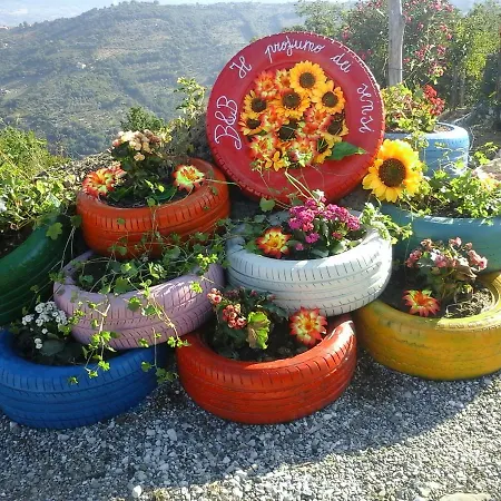 Il Profumo Dei Sensi * Ogliastro Cilento